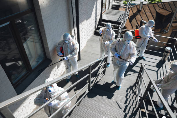 Mold Documentation for Insurance Claims in Cleveland, GA
