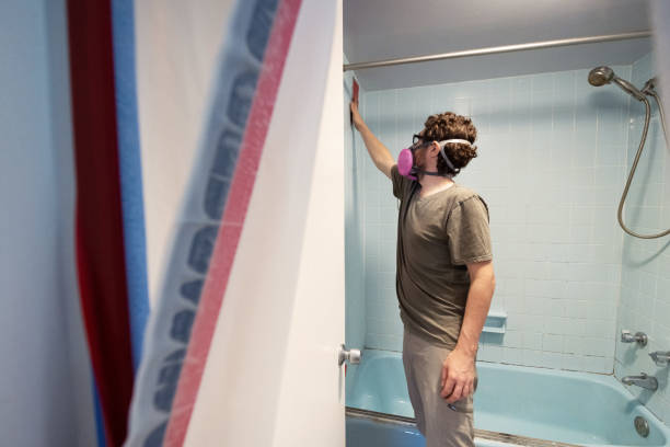 Best Environmental Consulting for Mold Prevention  in Cleveland, GA