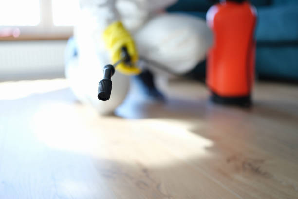 Best Comprehensive Air Testing for Mold Contaminants  in Cleveland, GA