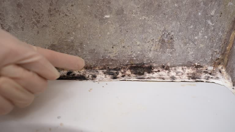 Best Indoor Air Quality Assessment  in Cleveland, GA
