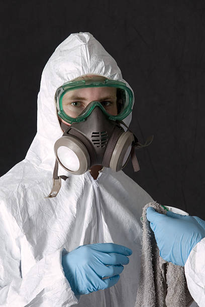 Best Emergency Mold Remediation  in Cleveland, GA